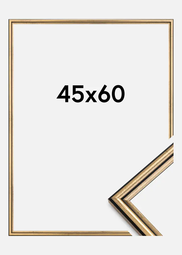 Ramme Horndal Guld 45x60 cm