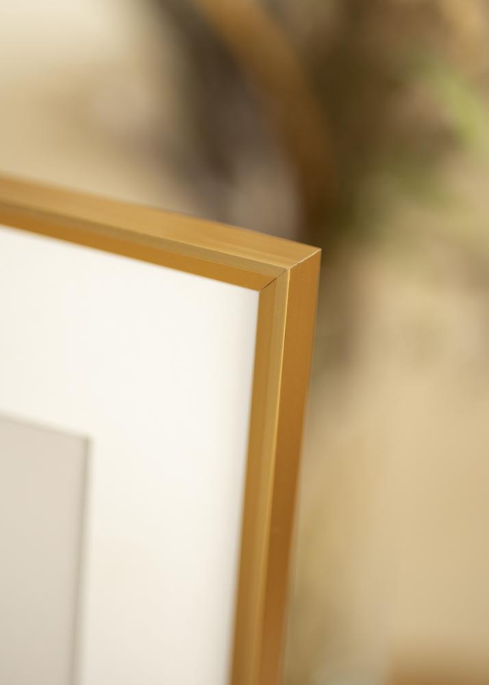 Ramme Desire Guld 40x50 cm - Passepartout Hvid 30x40 cm