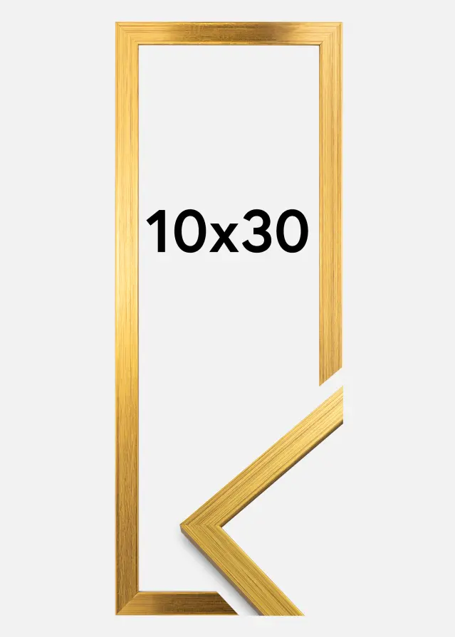 Ramme Edsbyn Guld 10x30 cm