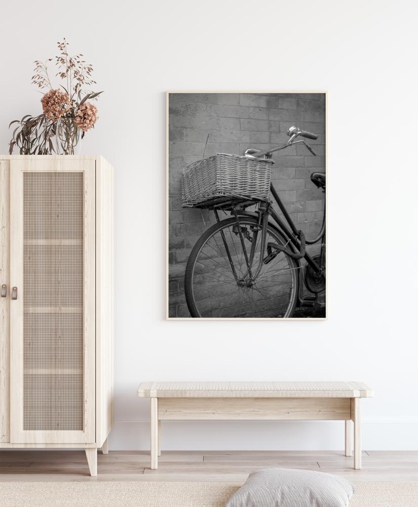 Bicycle Basket
