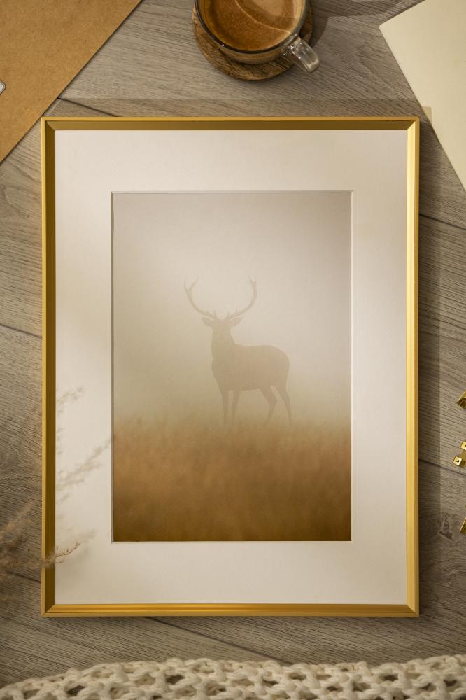 Ramme Desire Guld 40x50 cm - Passepartout Hvid 30x40 cm