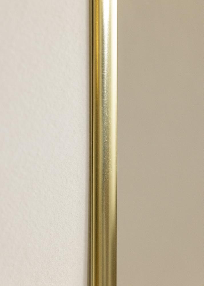 Ramme Visby Akrylglas Blank Guld 50x70 cm