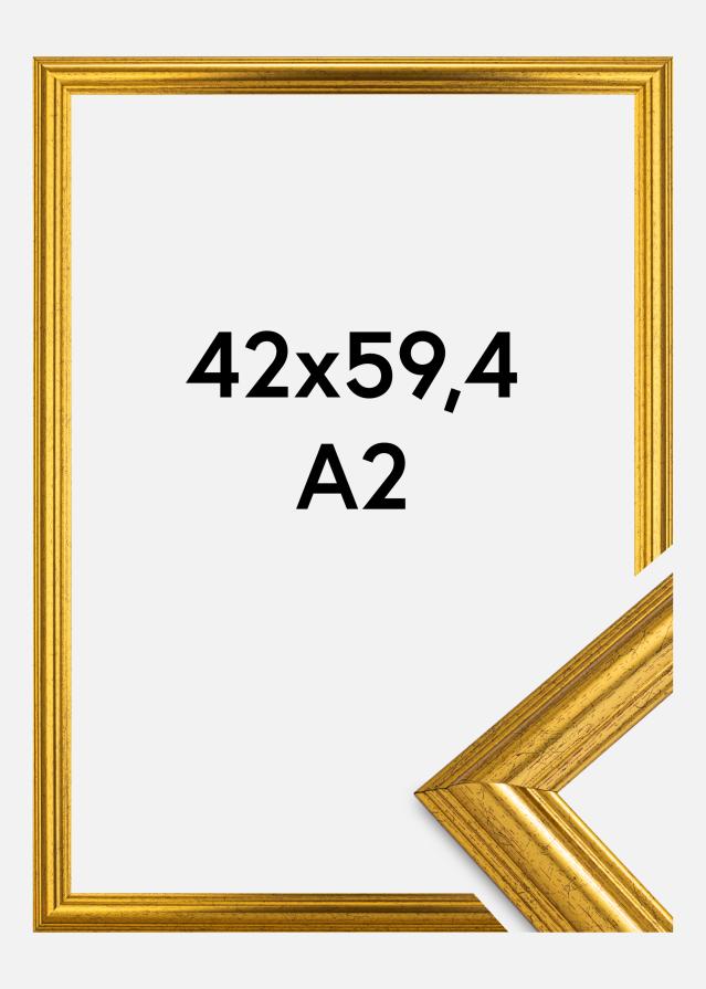 Ramme Vestkysten Guld 42x59,4 cm (A2)