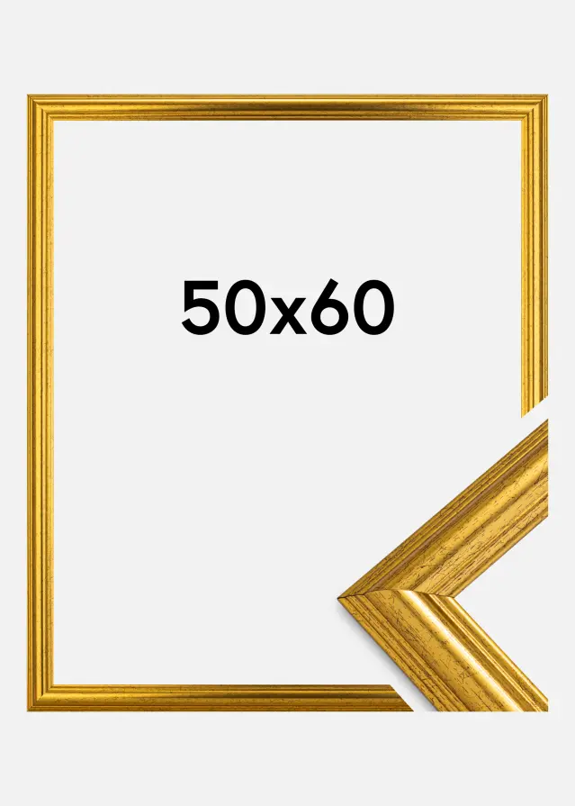 Ramme Vestkysten Guld 50x60 cm
