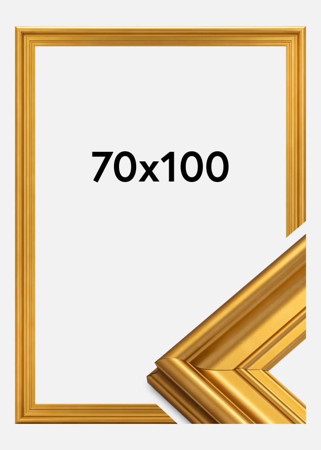 Ramme Mora Premium Guld 70x100 cm