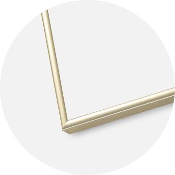 Ramme Visby Akrylglas Blank Guld 50x70 cm