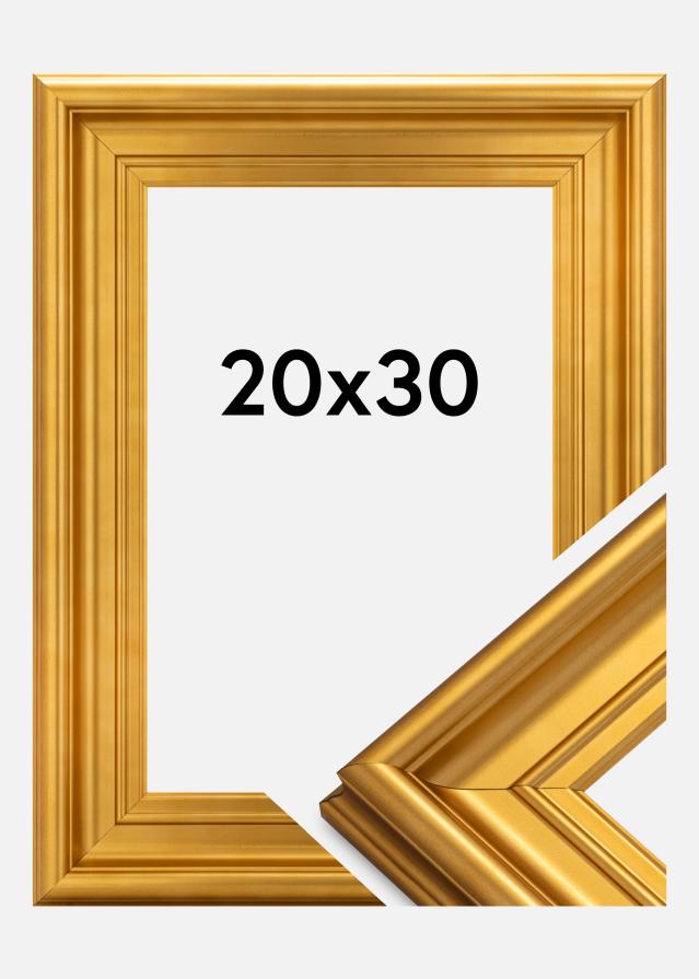 Ramme Mora Premium Guld 20x30 cm
