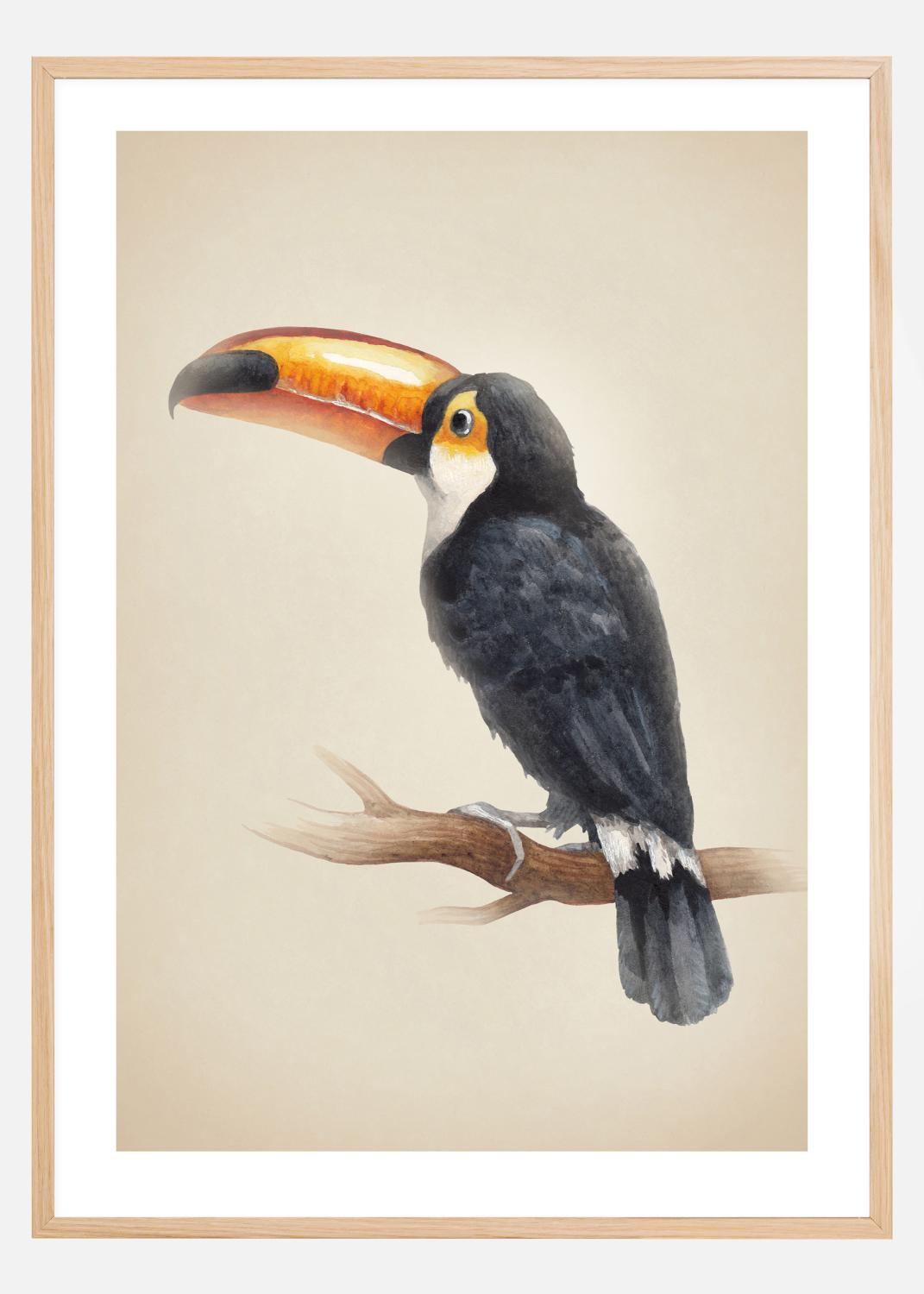 Product Image for Tropical Toucan Plakat (21x29.7 cm (A4))