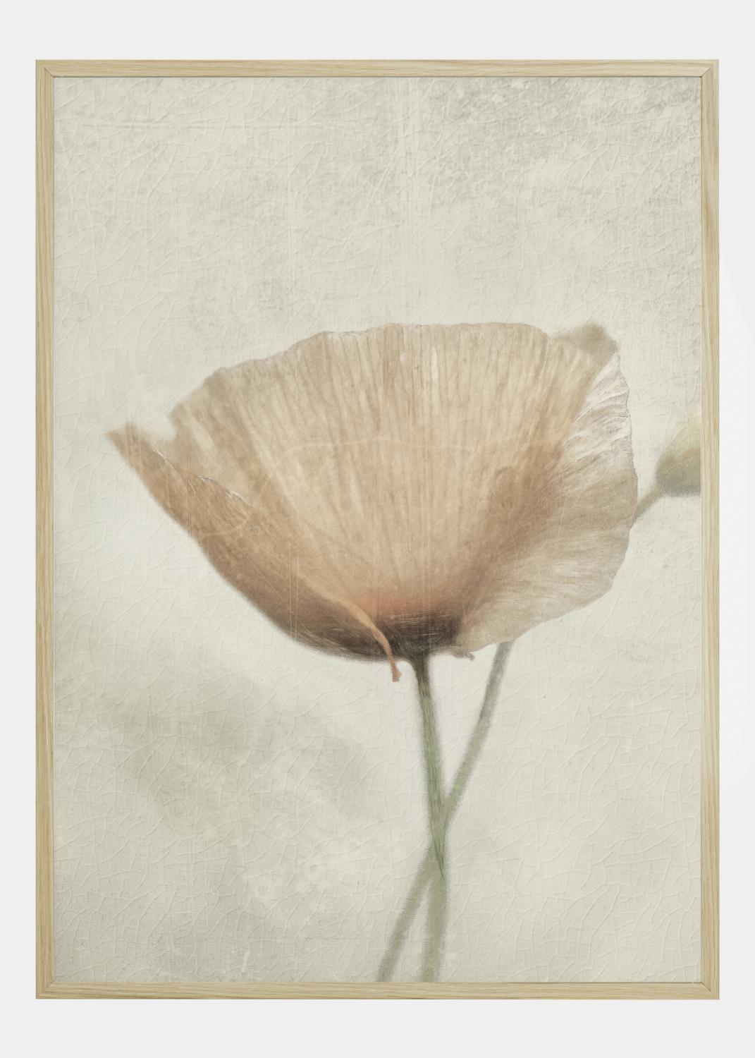 Product Image for Jewel Of Nature Plakat (21x29.7 cm (A4))
