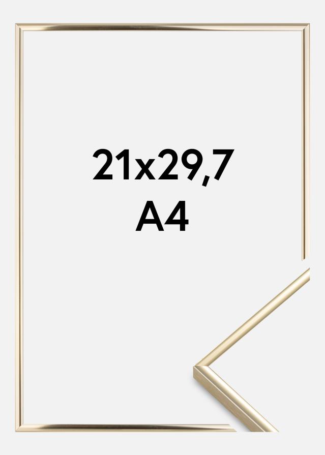 Ramme Visby Akrylglas Blank Guld 21x29,7 cm (A4)