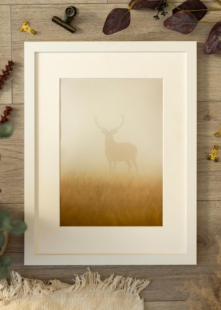 Ramme BGA Classic Akrylglas Hvid 21x29,7 cm (A4)