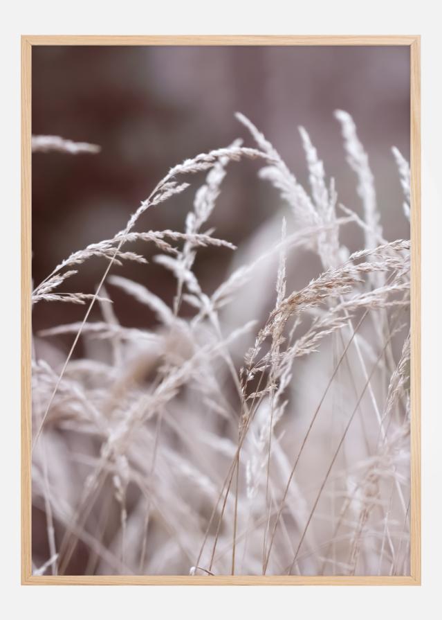 Straws in a field Plakat