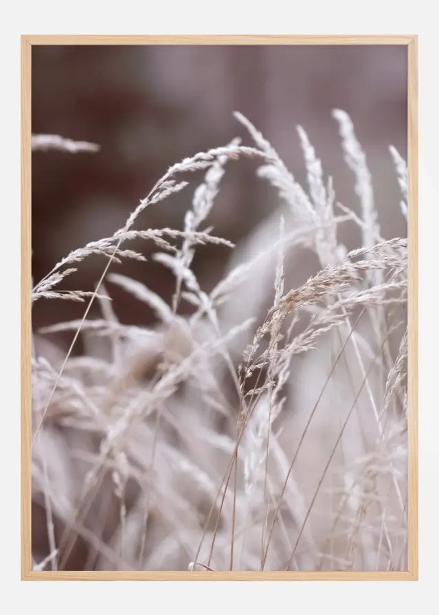 Straws in a field Plakat