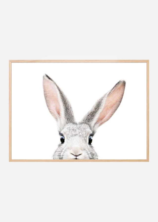 Peeking Bunny Plakat