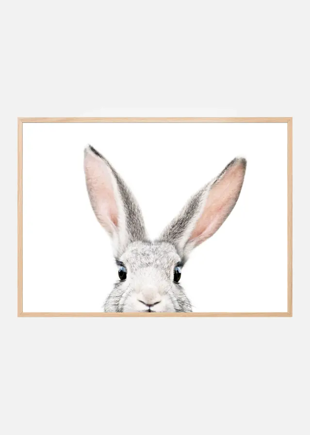 Peeking Bunny Plakat
