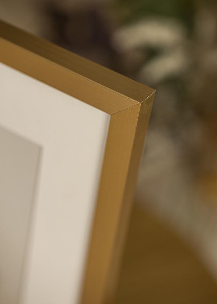 Ramme Selection Akrylglas Guld 50x70 cm