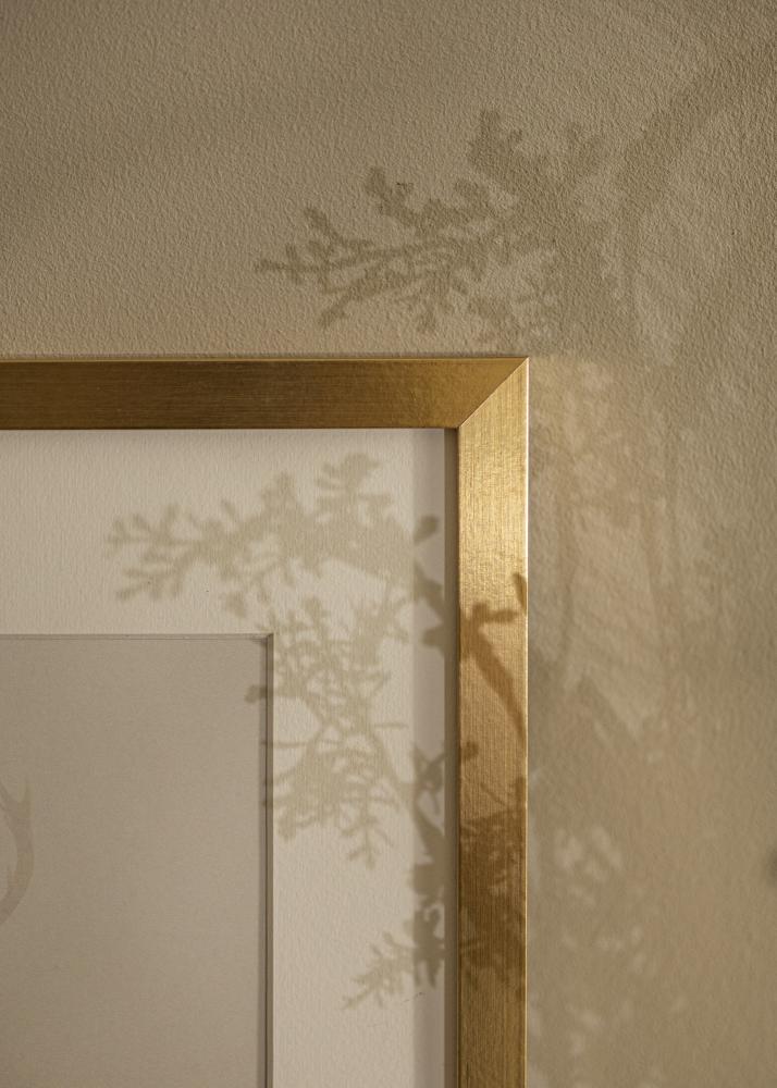 Ramme Selection Akrylglas Guld 50x70 cm