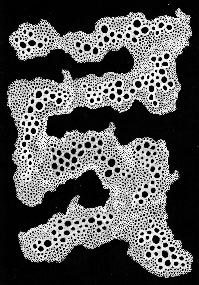 BUBBLESBLACK Plakat