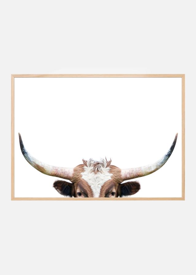 Peeking Longhorn Cow Plakat