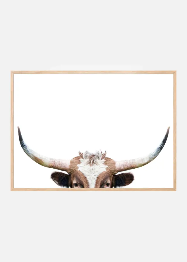 Peeking Longhorn Cow Plakat