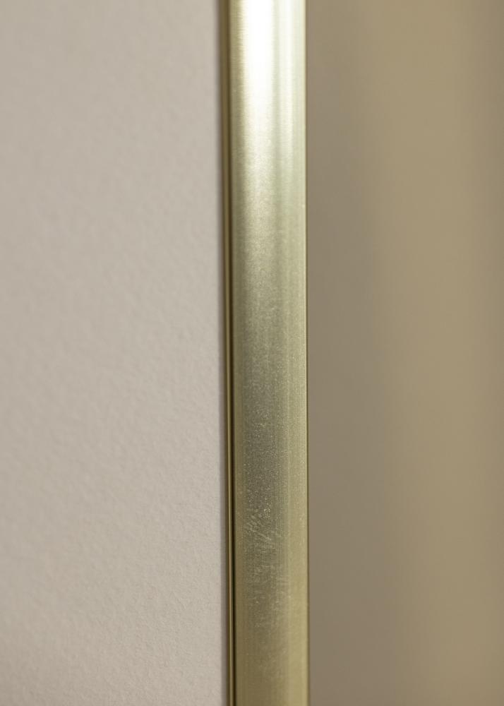Ramme Poster Frame Aluminum Gold 70x100 cm - Passepartout Hvid 62x93 cm