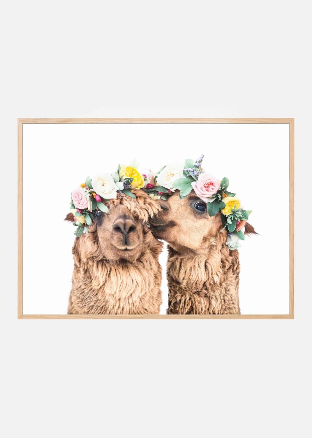 Product Image for Boho Alpacas Plakat (70x100 cm)