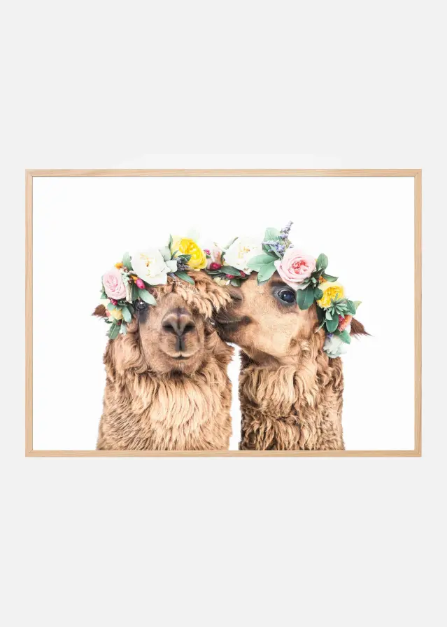 Boho Alpacas Plakat