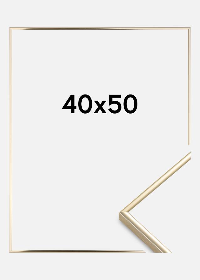 Ramme Visby Akrylglas Blank Guld 40x50 cm