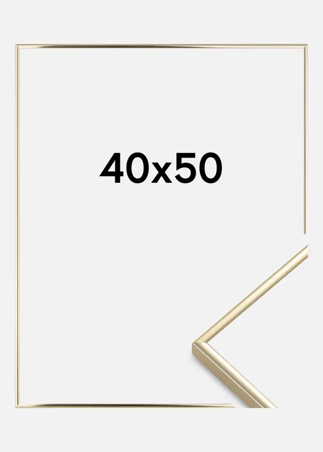 Ramme Visby Akrylglas Blank Guld 40x50 cm