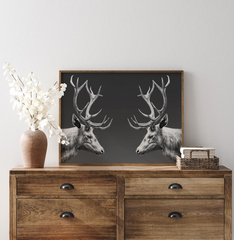 REINDEER Plakat