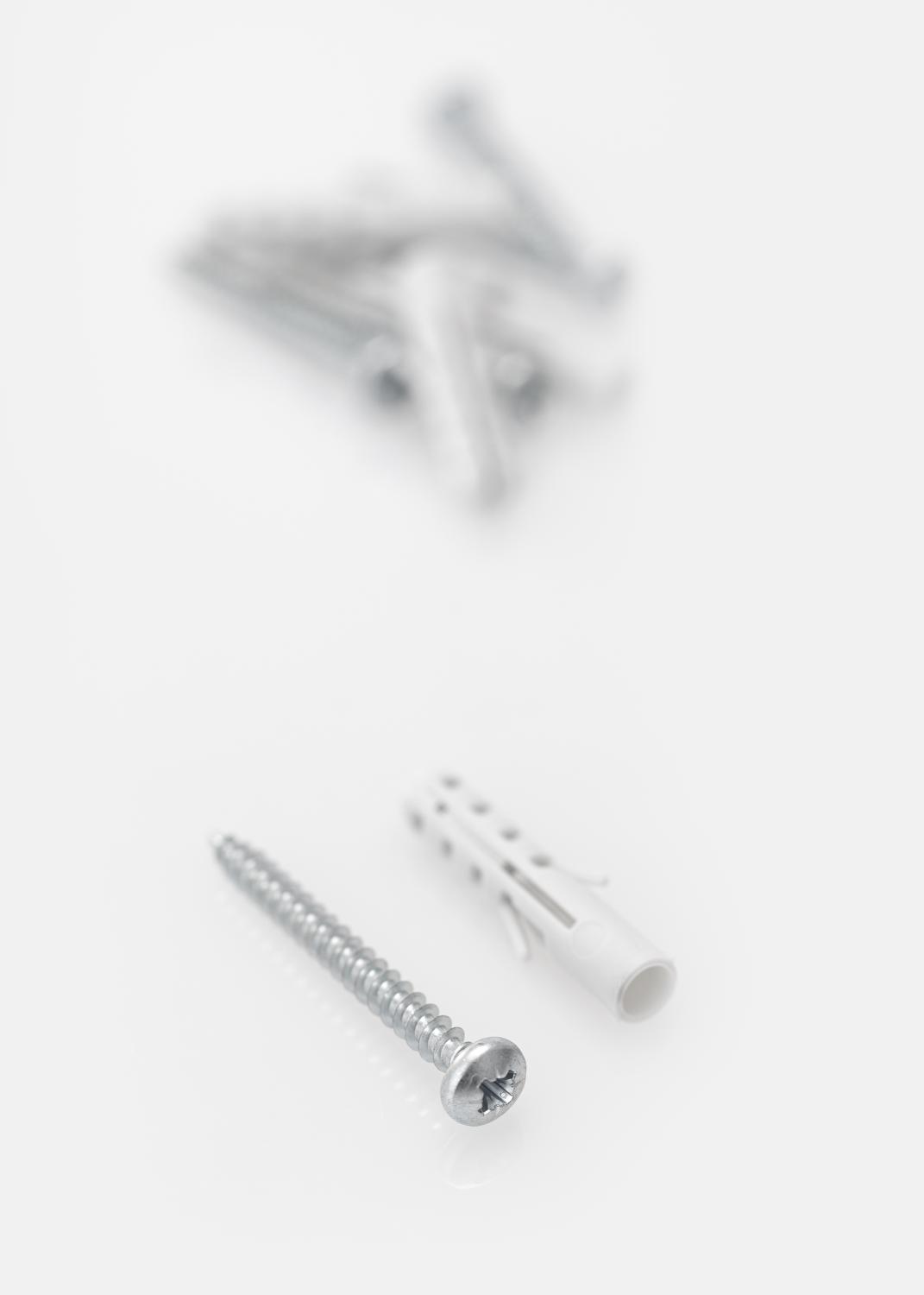 Product Image for Skrue og plug til betonvæg - 5-pack (40x8 mmk)
