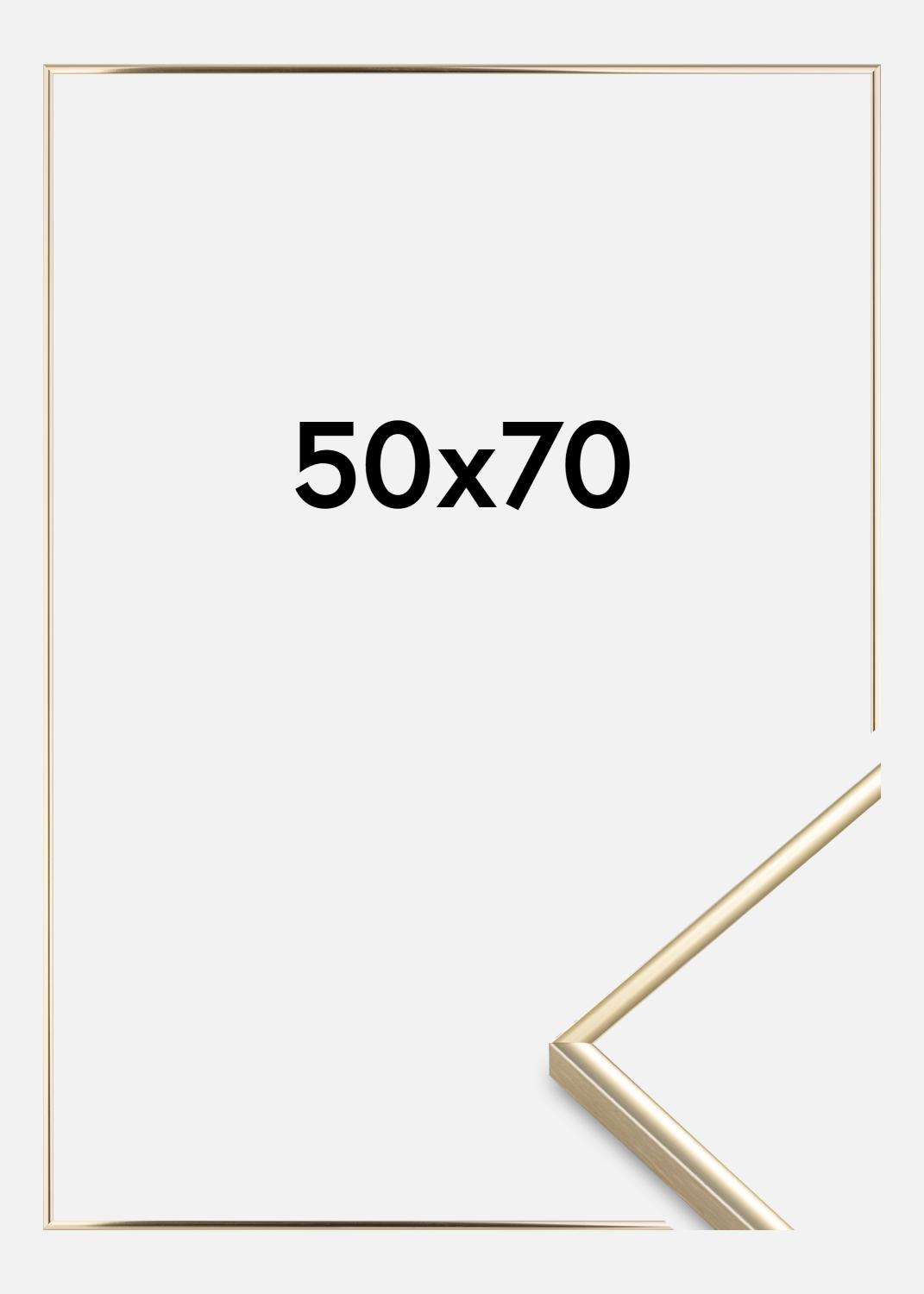 Product Image for Ramme Visby Akrylglas Blank Guld 50x70 cm