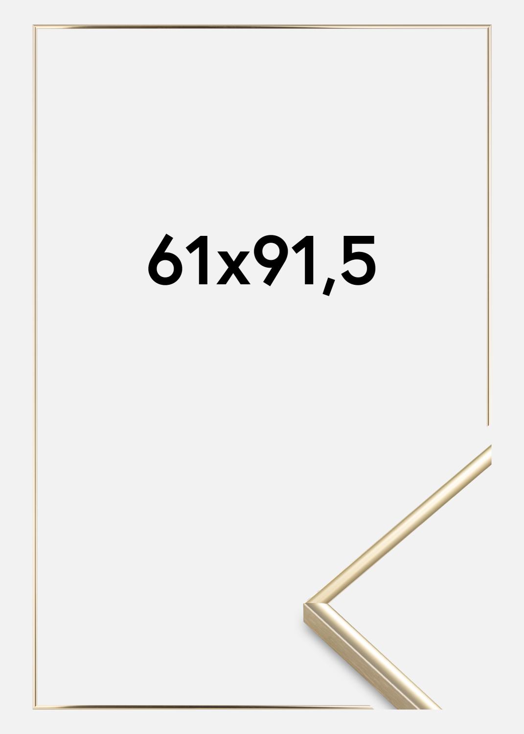 Product Image for Ramme Visby Akrylglas Blank Guld 61x91,5 cm