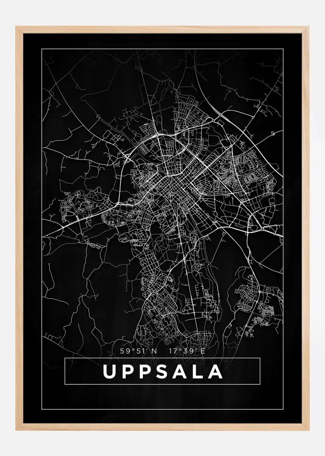 Kort - Uppsala - Sort Plakat