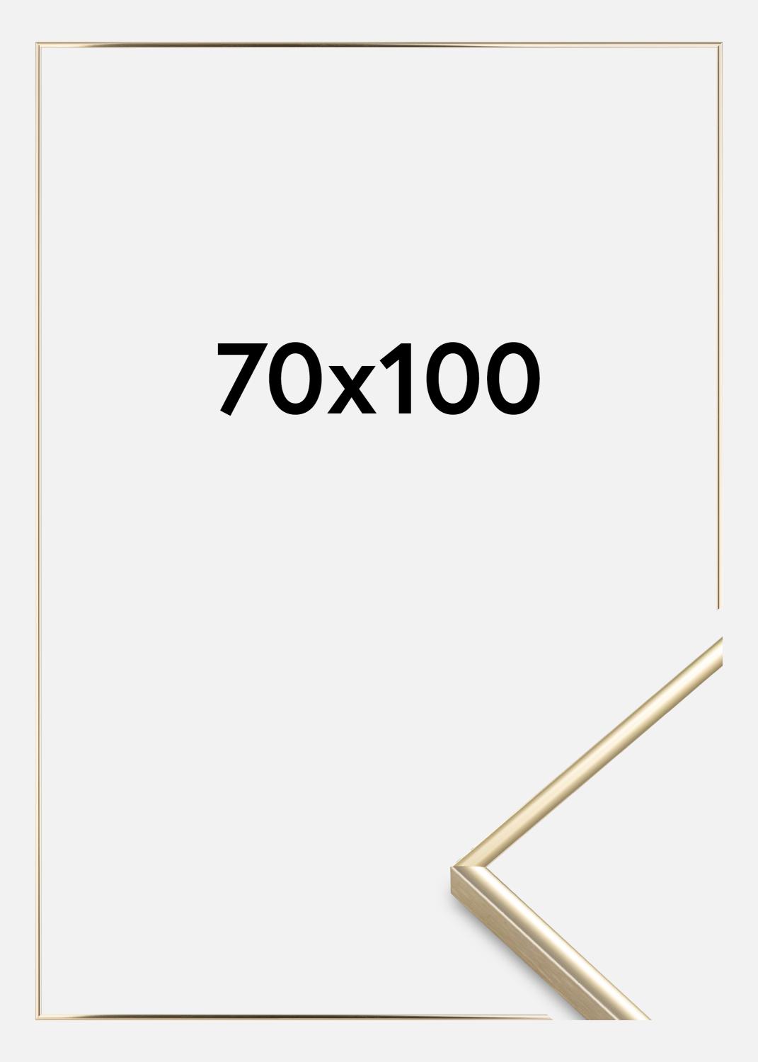 Product Image for Ramme Visby Akrylglas Blank Guld 70x100 cm