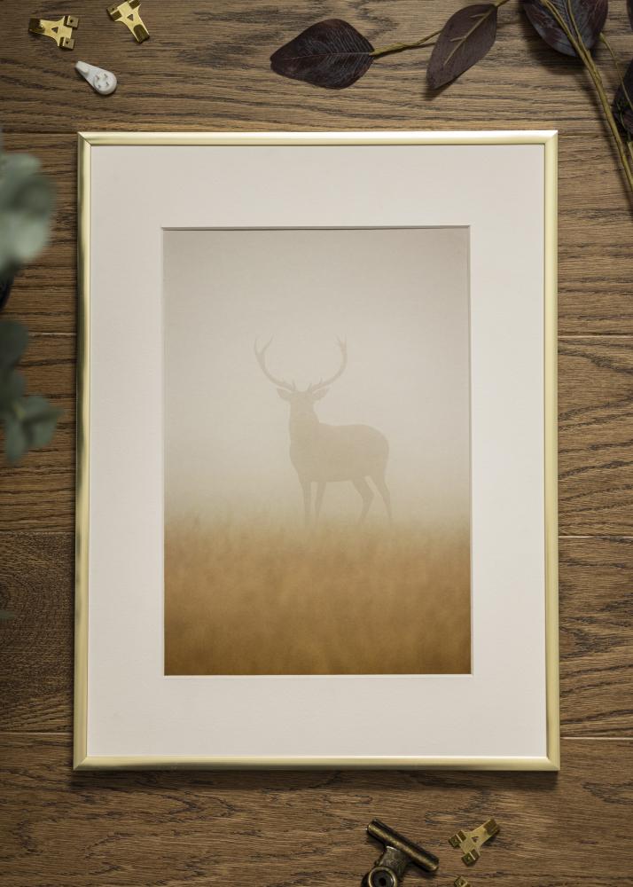 Ramme Poster Frame Aluminum Gold 70x100 cm - Passepartout Hvid 62x93 cm