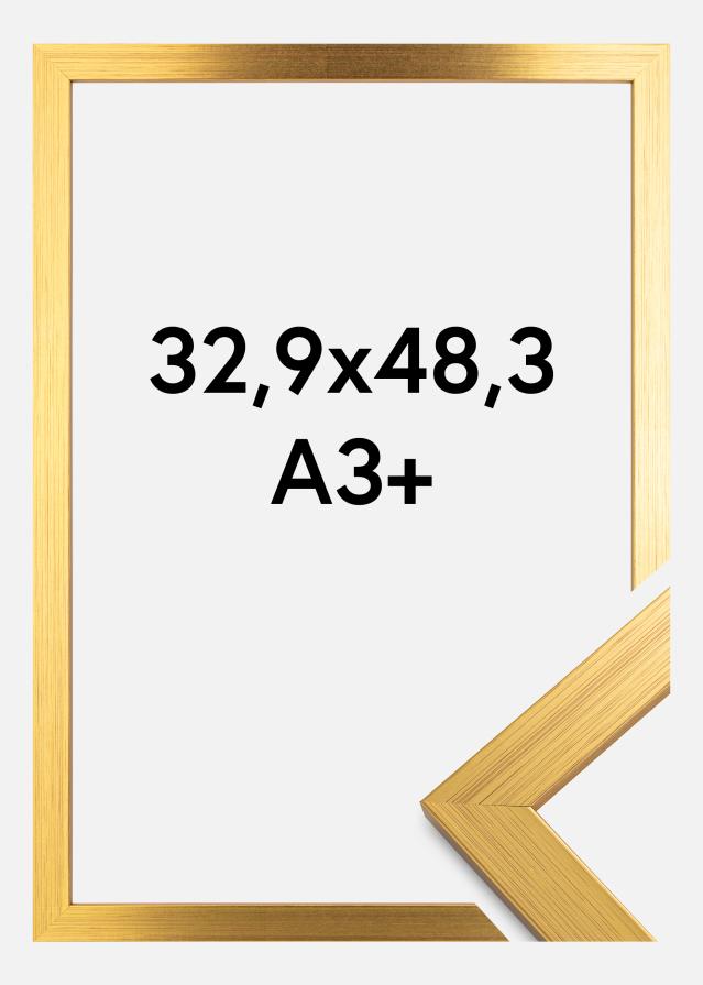 Ramme Gold Wood Akrylglas 32,9x48,3 cm (A3+)