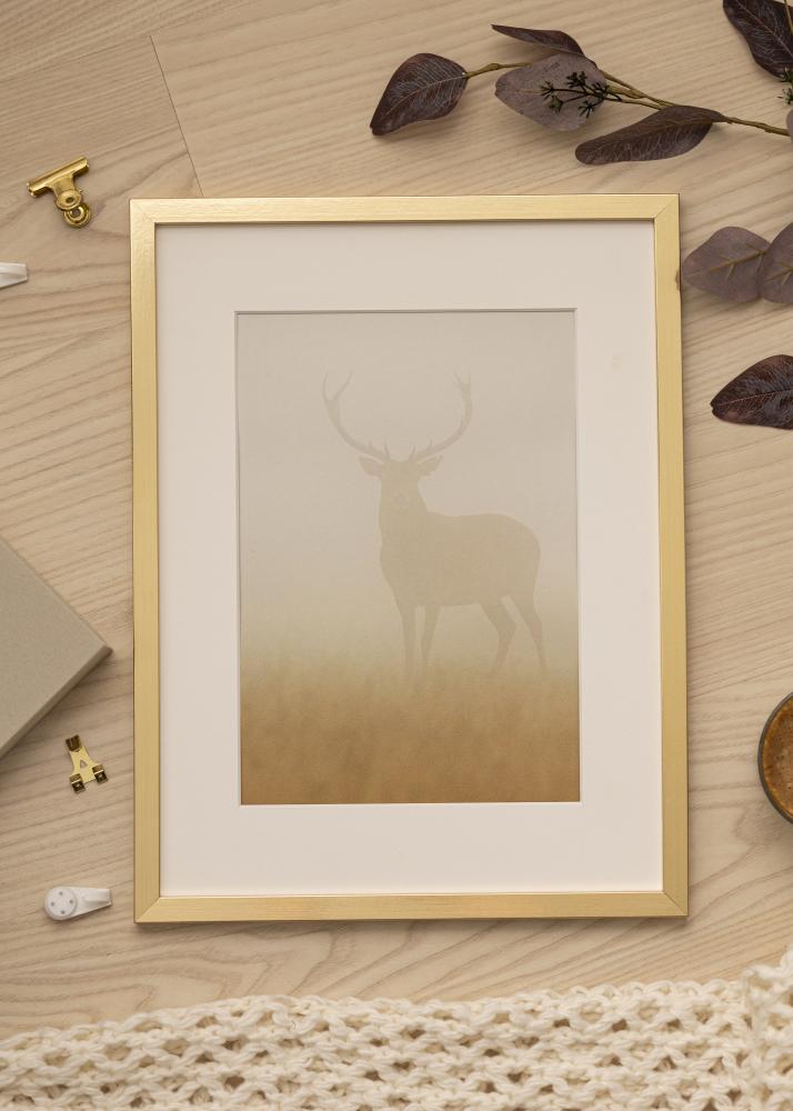Ramme Trendy Akrylglas Guld 40x60 cm