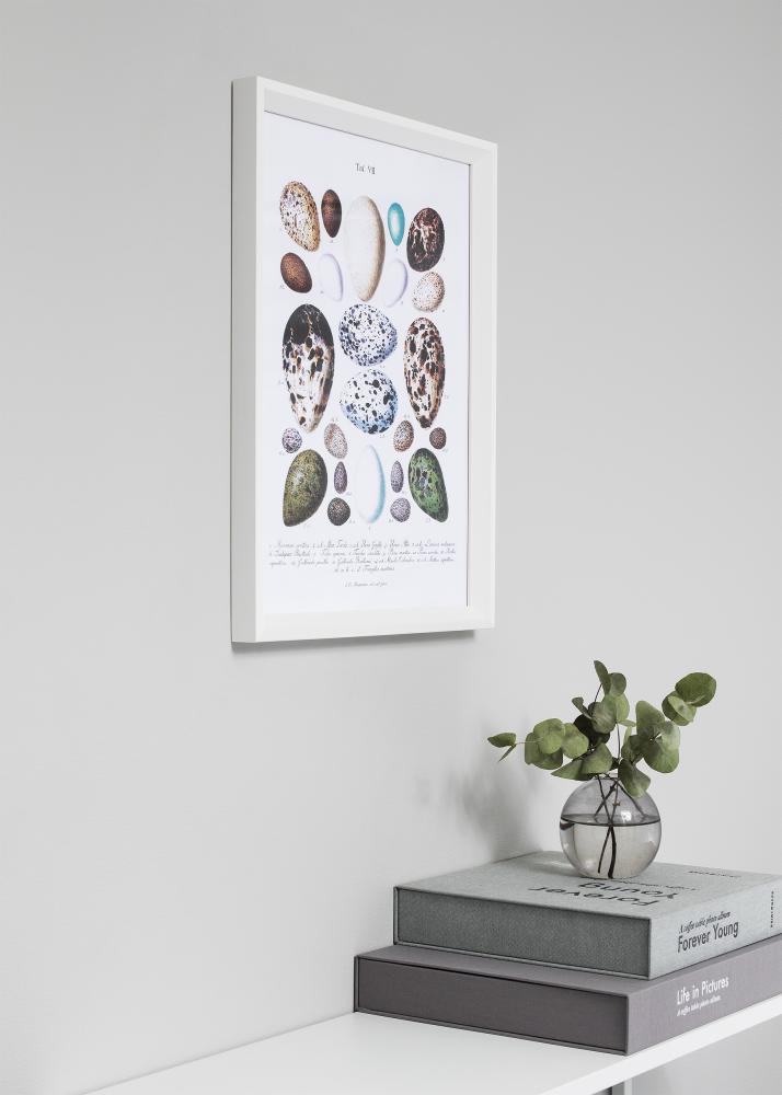 Ramme Globe Hvid 40x50 cm - Passepartout Sort 12x16 inches
