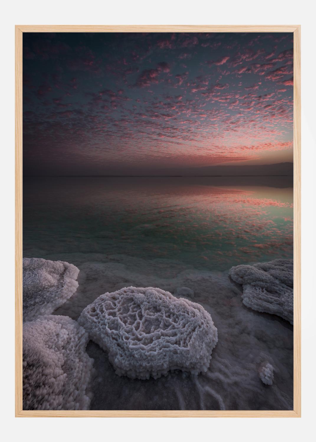 Product Image for Genesis Plakat (21x29.7 cm (A4))