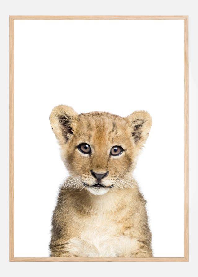 Baby Lion Plakat