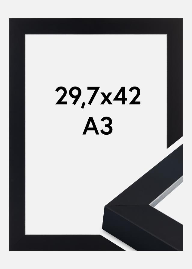 Ramme Sussex Akrylglas Sort/Sølv 29,7x42 cm (A3)