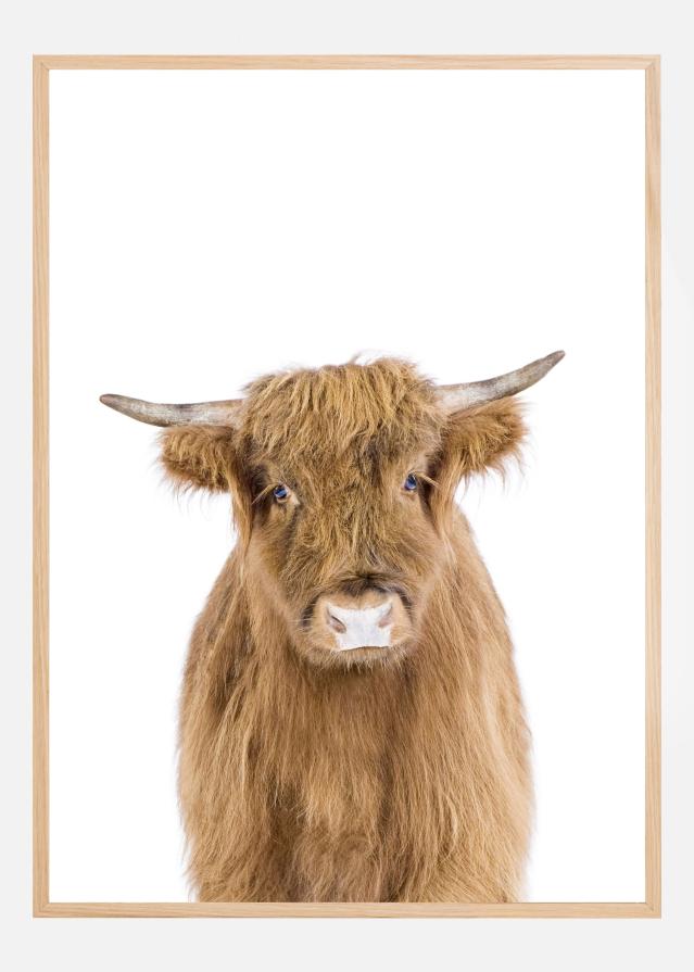 Baby Cow Plakat