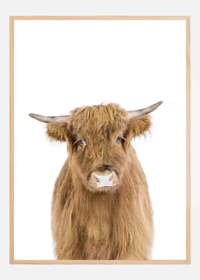 Baby Cow Plakat
