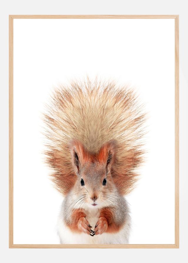 Baby Squirel Plakat