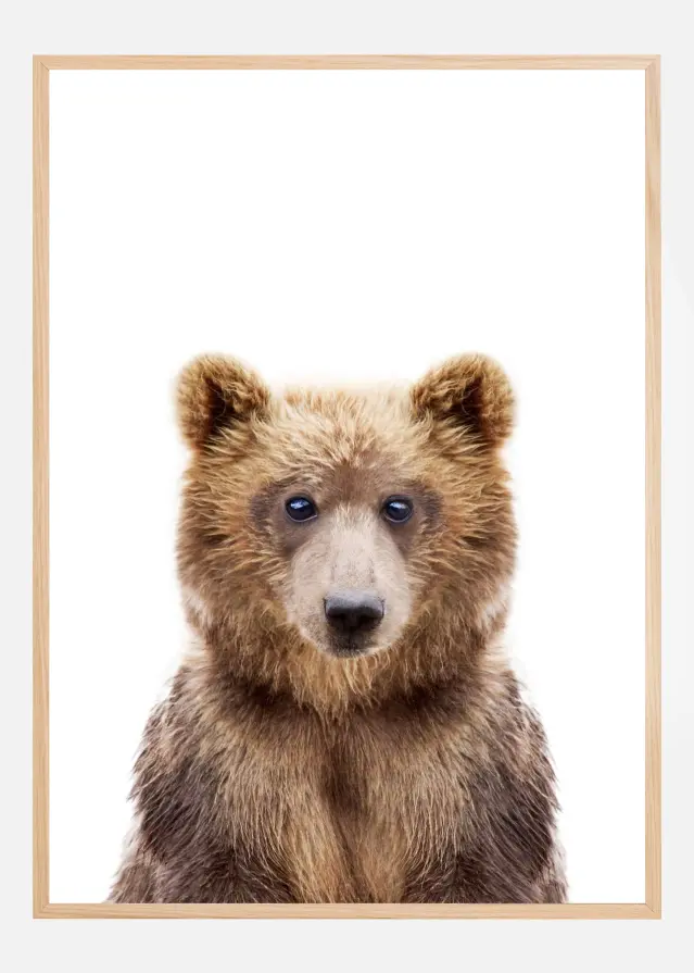 Baby Bear Plakat