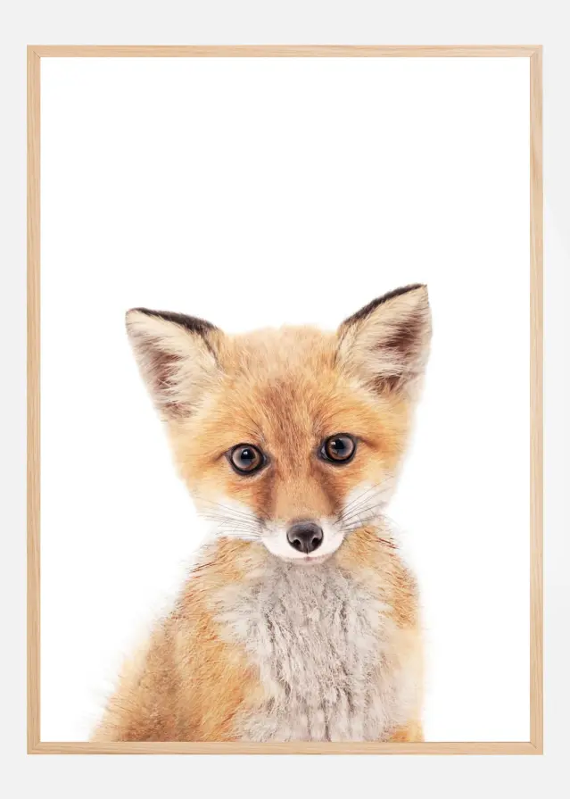 Baby Fox Plakat