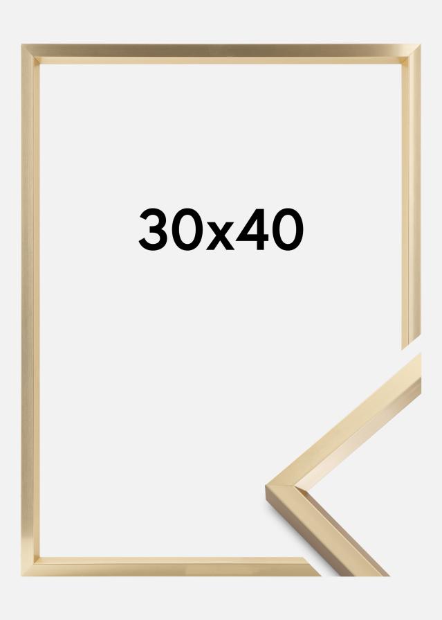 Ramme Steel Style Guld 30x40 cm