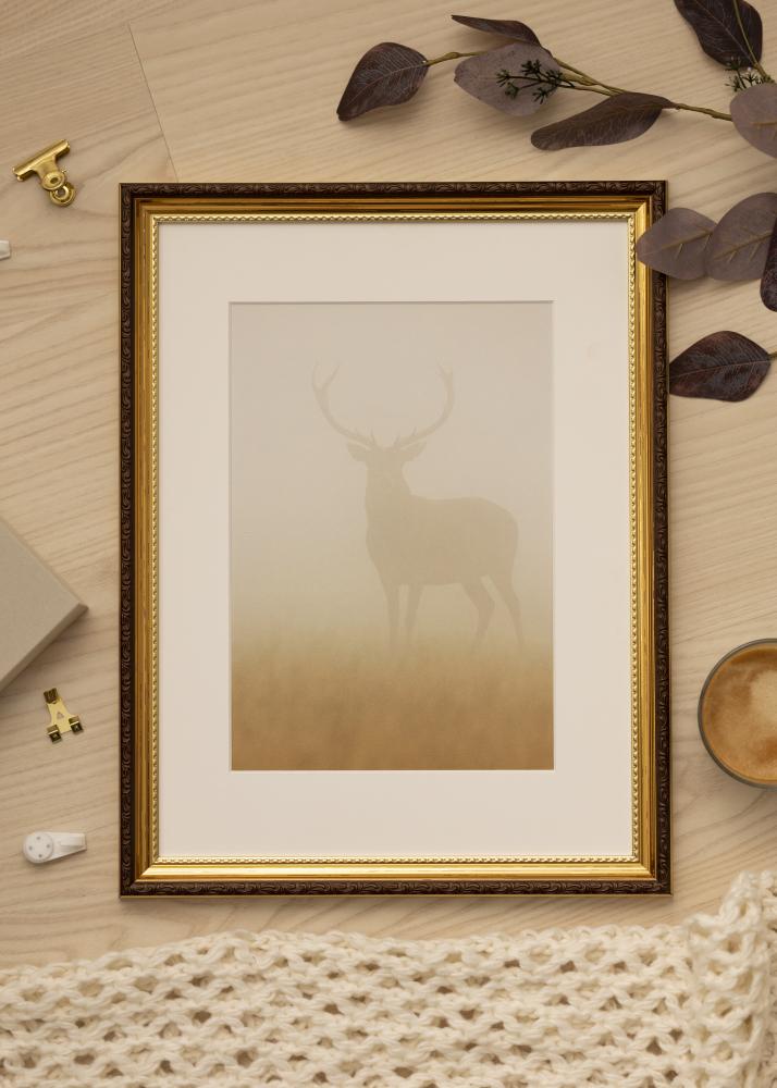 Ramme Abisko Guld 70x100 cm - Passepartout Hvid 61x91,5 cm