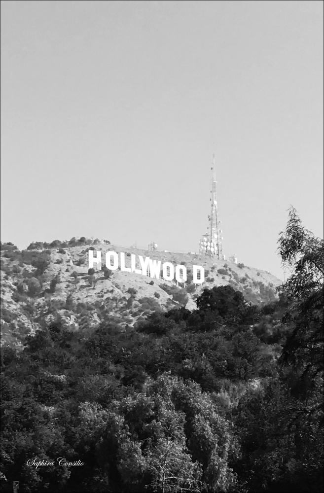 Hollywood Sign Plakat